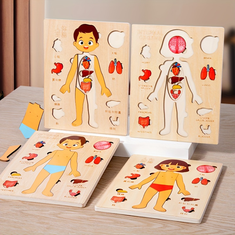 Human Body Puzzle - Human Body Puzzles for Kids Wooden