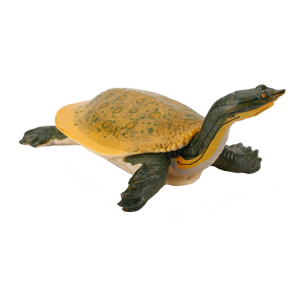 Kids Education Tools - 1Pcs Realistic Simulation Freshwater Turtle Educational