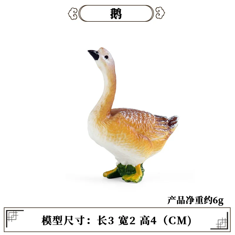 Kids Education Tools - Education Teaching Tool Poultry Animal Mini