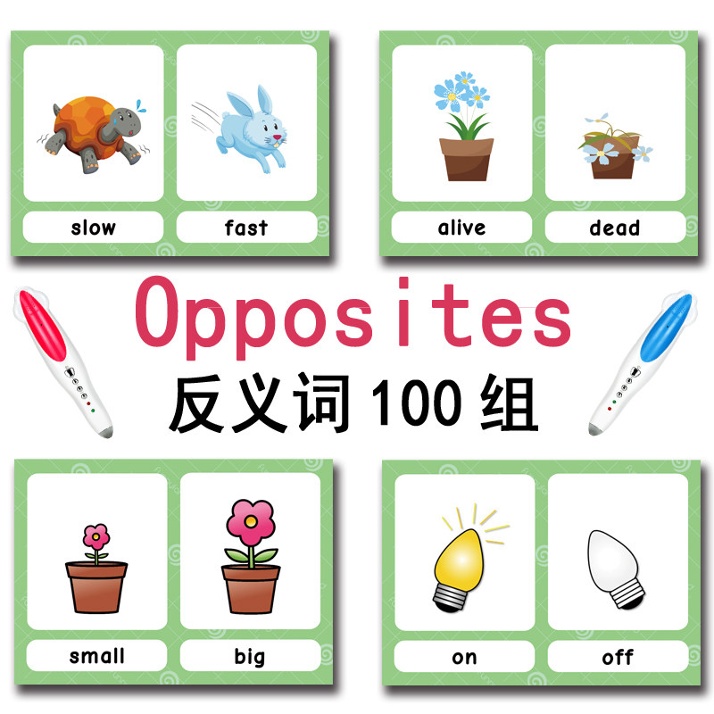 The 100 Groups Opposites Flash - đánh giá và giá Kids Education Material