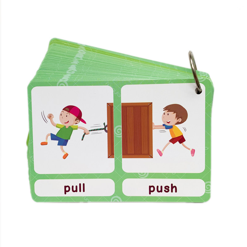 The 100 Groups Opposites Flash - đánh giá và giá Kids Education Material
