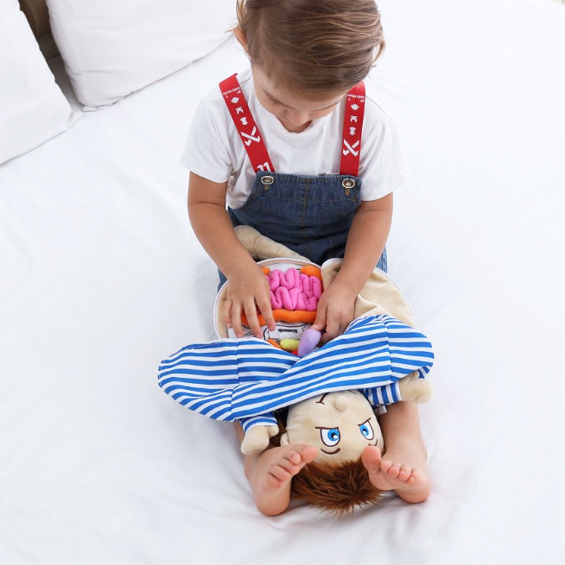 Human Viscera Cognitive Kid 3D - đánh giá và giá Human Body Puzzle