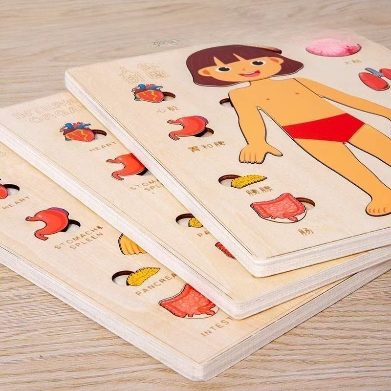 Montessori Puzzles Busy Board  - đánh giá và giá Human Body Puzzle