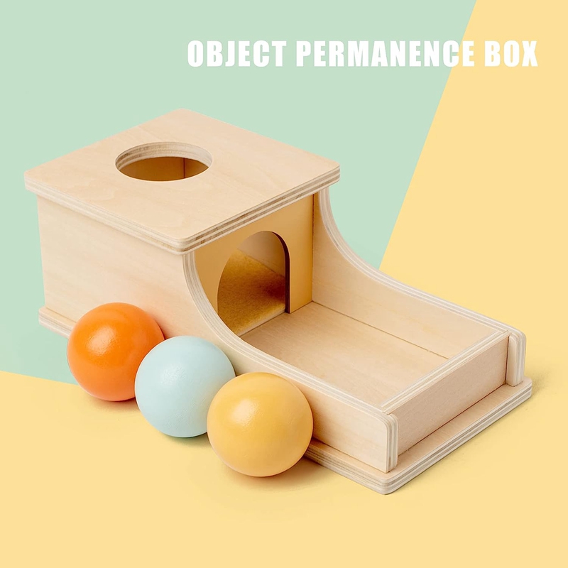 Montessori Wooden Pitch Ball B - đánh giá và giá Human Body Puzzle