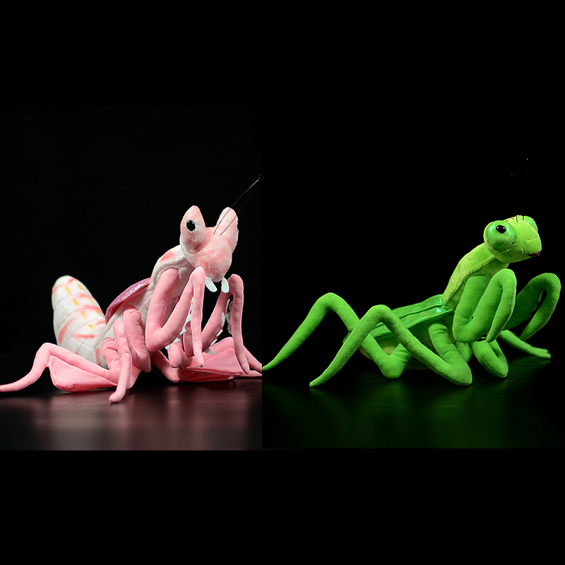 Cute Realistic Pink Orchid Man - đánh giá và giá Orchid Kids Education