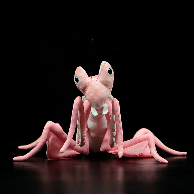 Cute Realistic Pink Orchid Man - đánh giá và giá Orchid Kids Education