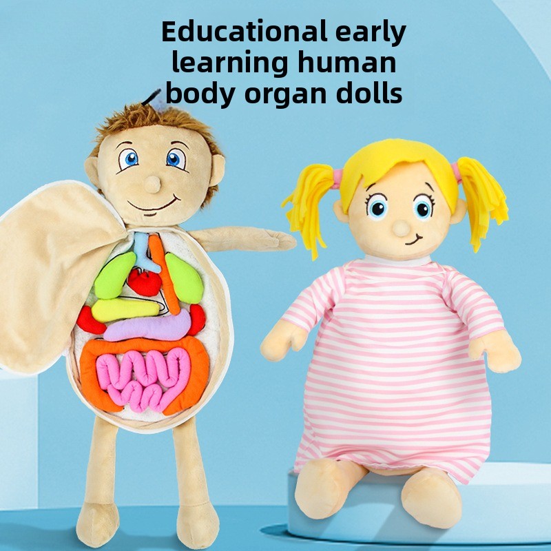 1Pc Human Organ Cognition Puzz - đánh giá và giá Human Body Puzzle