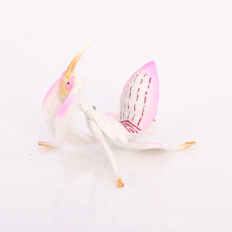 Realistic Animal Toy Model Pin - đánh giá và giá Orchid Kids Education