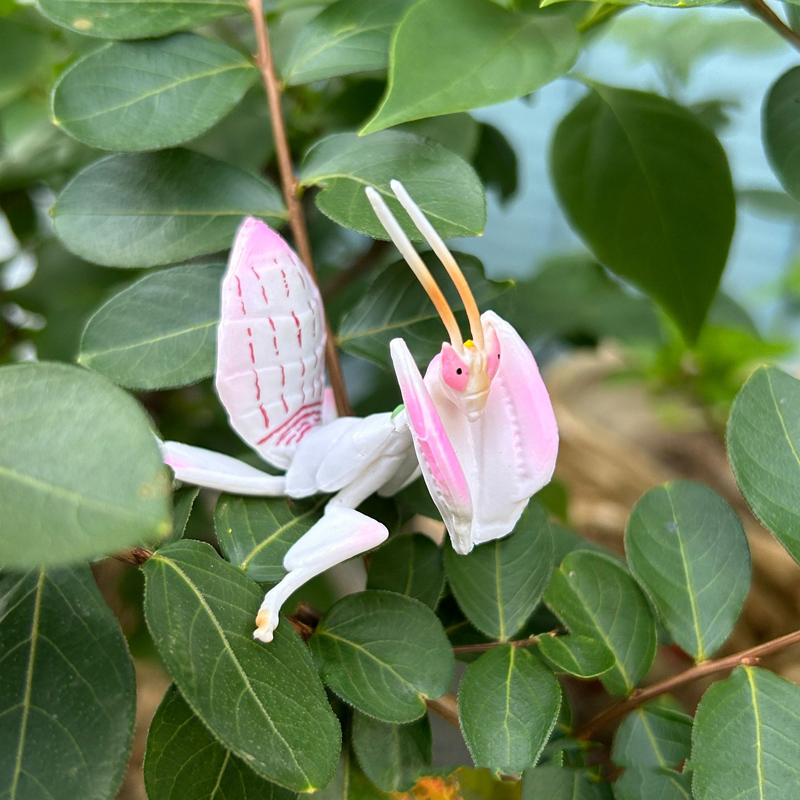 Realistic Animal Toy Model Pin - đánh giá và giá Orchid Kids Education