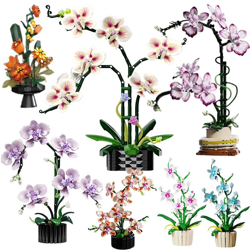 Orchid Potted Plants Simulatio - đánh giá và giá Orchid Kids Education