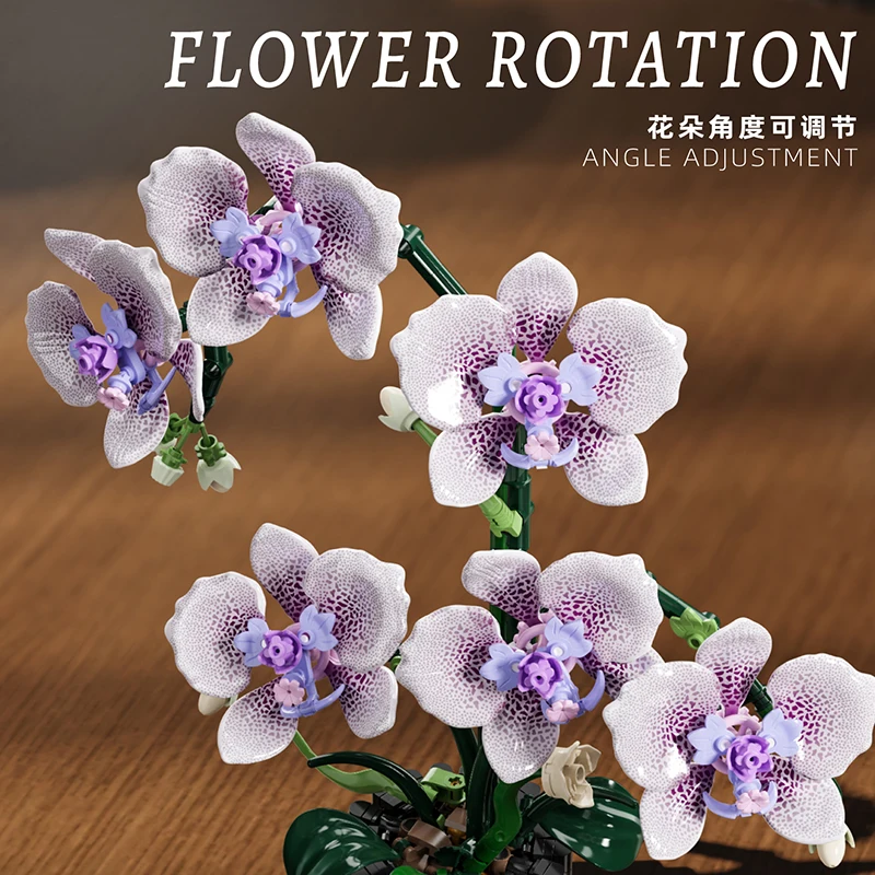 Orchid Potted Plants Simulatio - đánh giá và giá Orchid Kids Education
