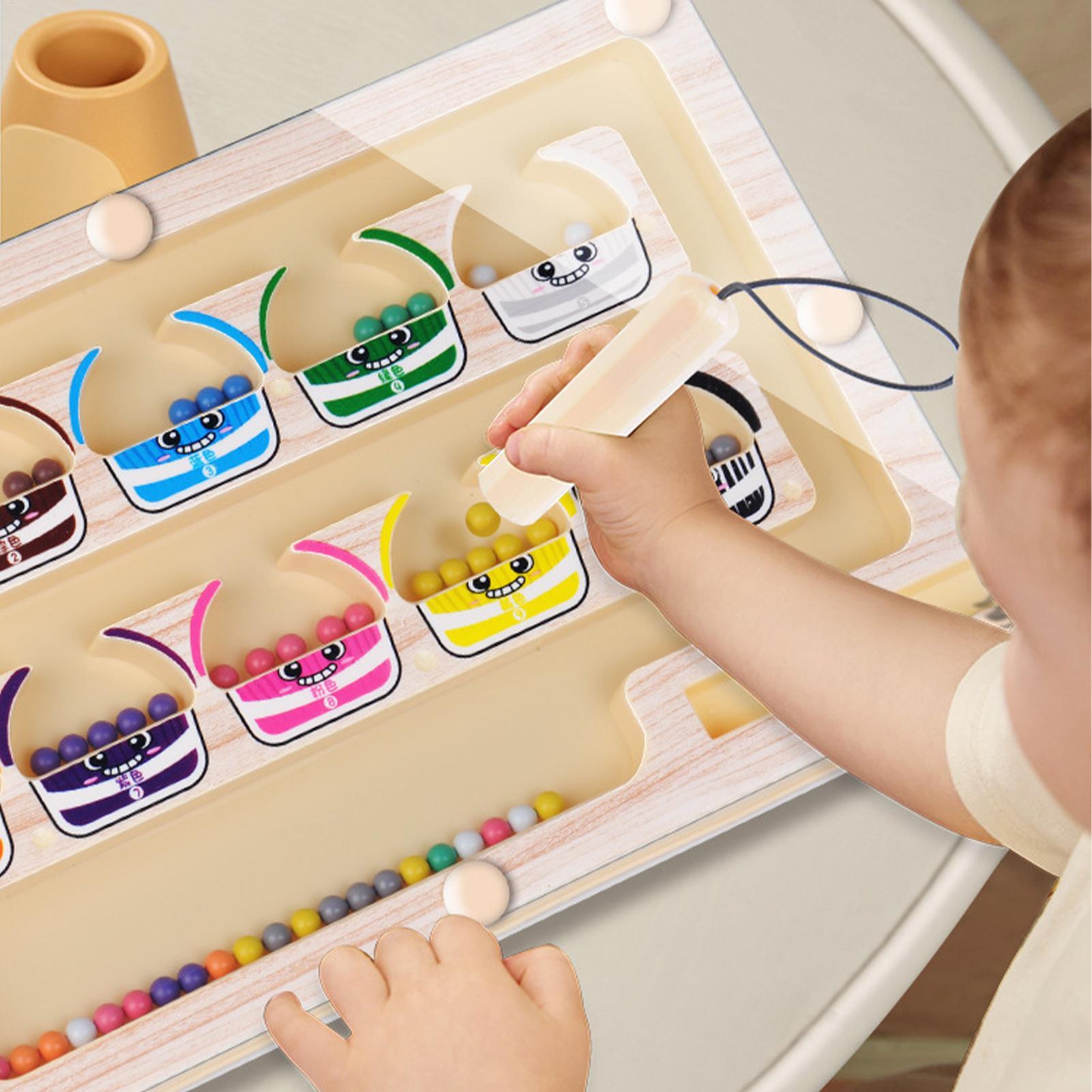 Montessori Magnetic Color Sort - đánh giá và giá Human Body Puzzle