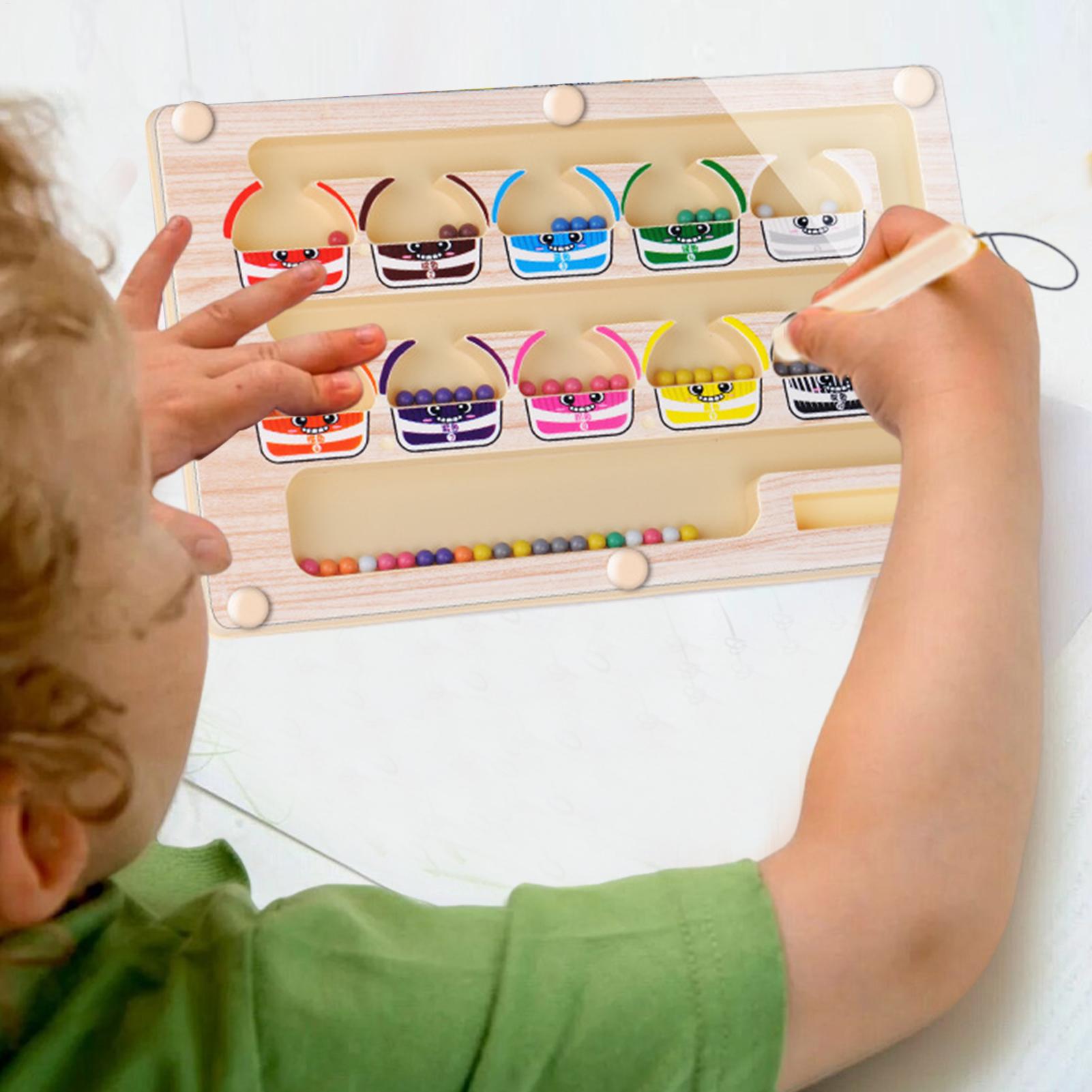Montessori Magnetic Color Sort - đánh giá và giá Human Body Puzzle