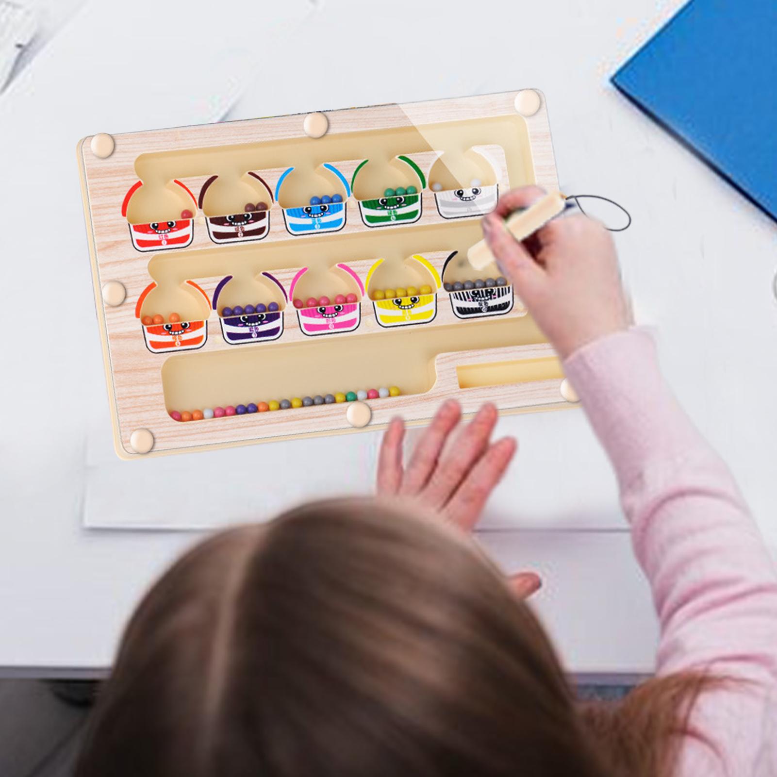 Montessori Magnetic Color Sort - đánh giá và giá Human Body Puzzle