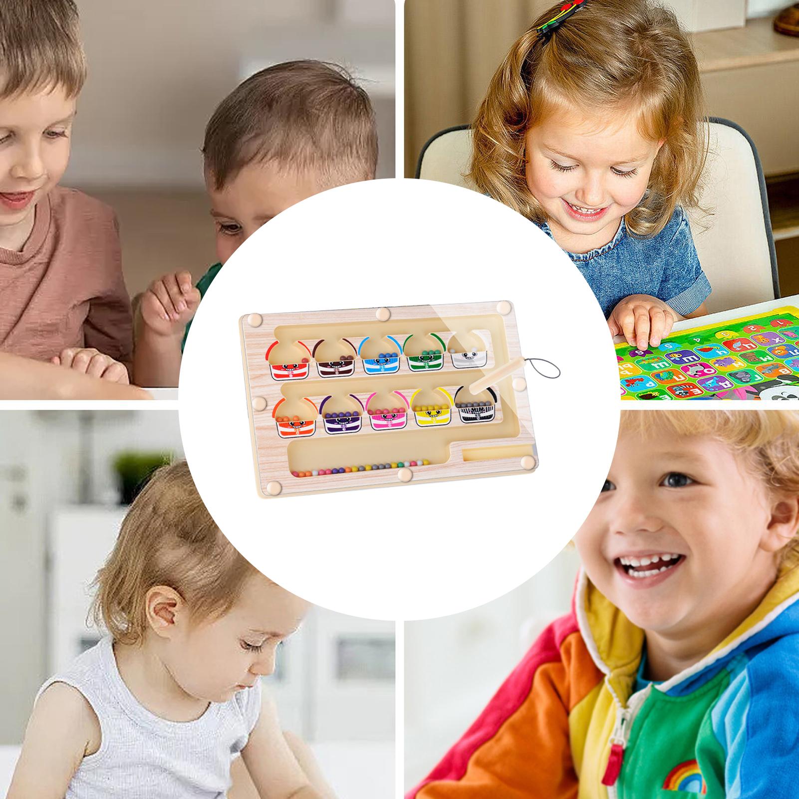 Montessori Magnetic Color Sort - đánh giá và giá Human Body Puzzle
