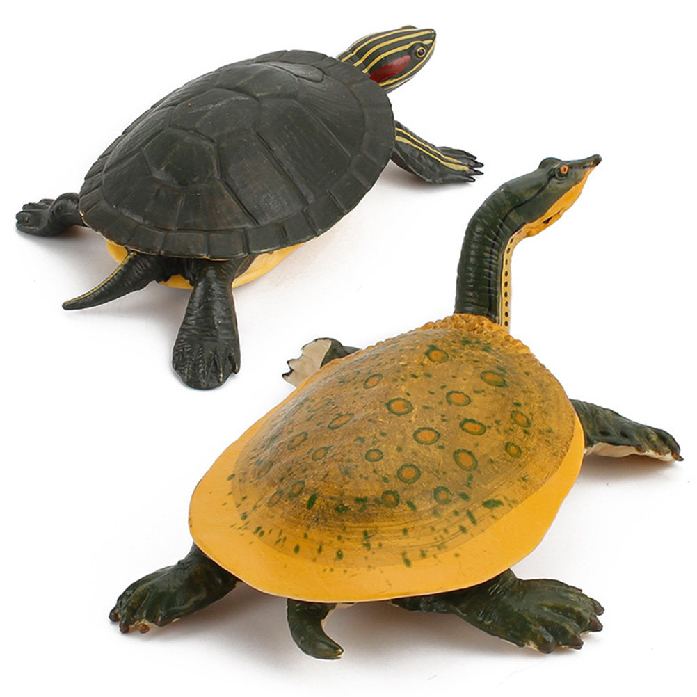 1Pcs Realistic Simulation Fres - đánh giá và giá Kids Education Tools