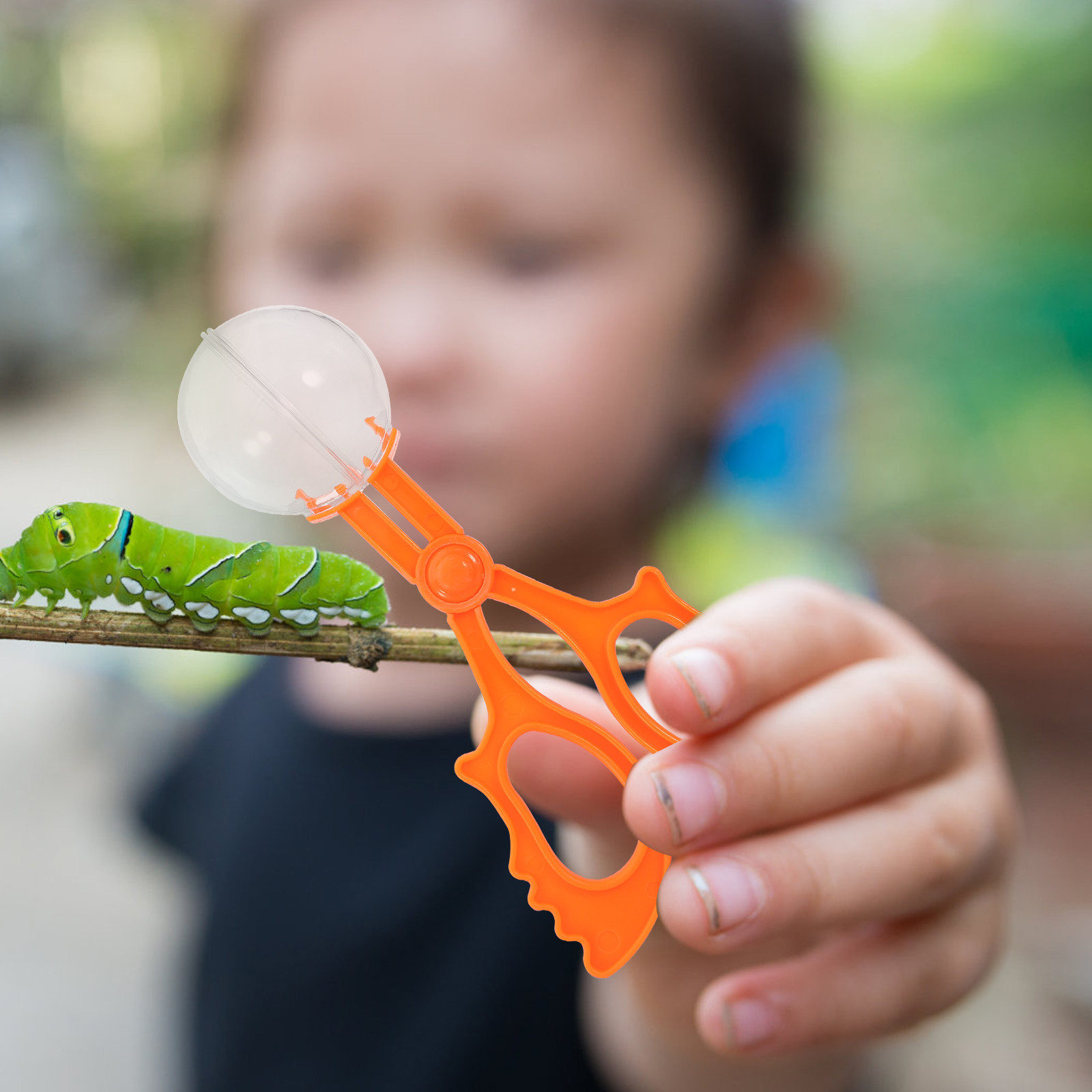 5Pcs Assorted Color Insect Cat - đánh giá và giá Kids Education Tools