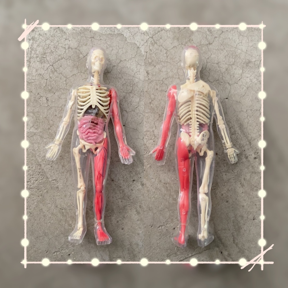 In Stock Default Defect Origin - đánh giá và giá Human Body Puzzle