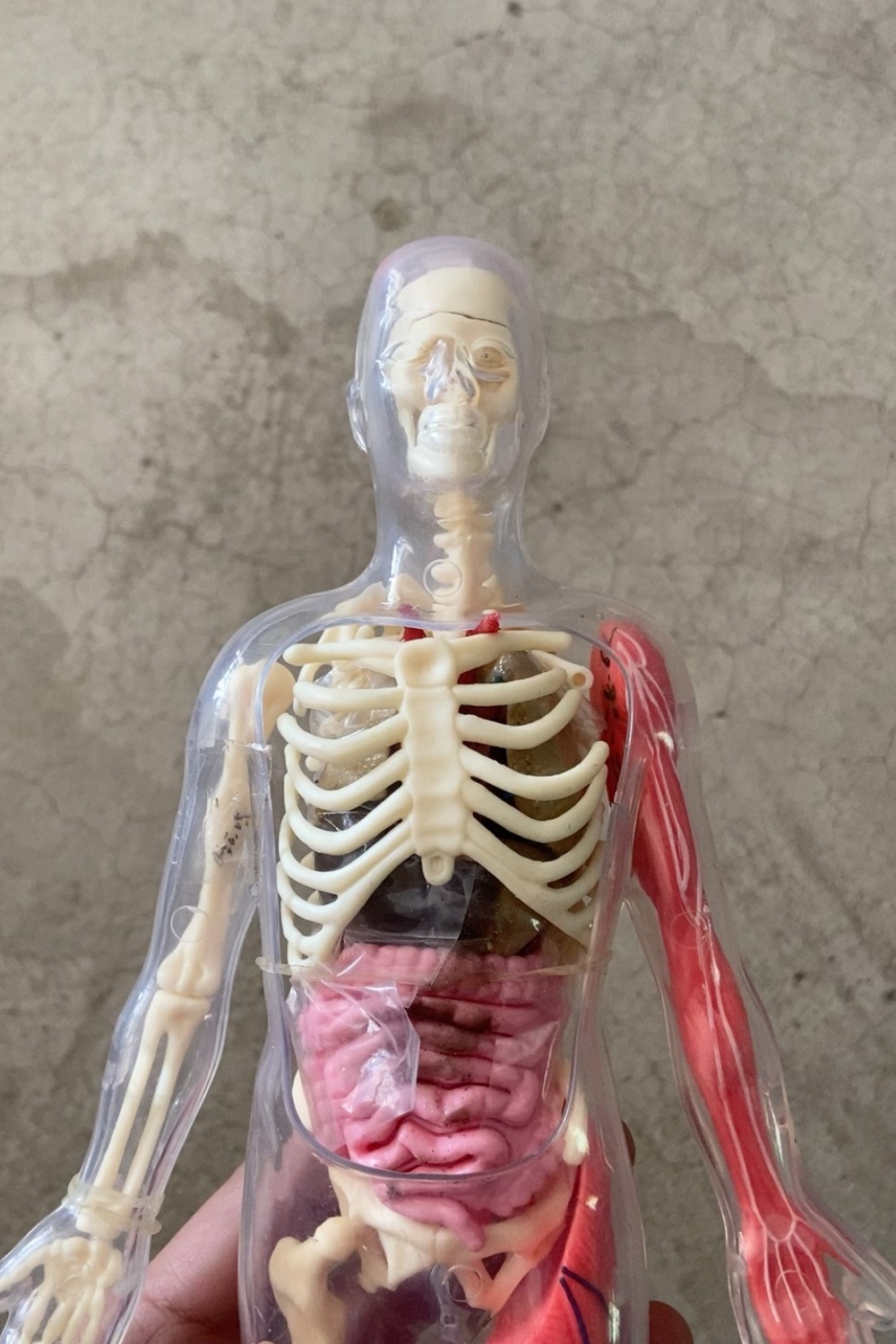 In Stock Default Defect Origin - đánh giá và giá Human Body Puzzle