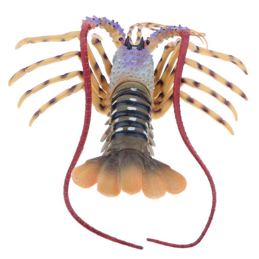 Lobster Model Ocean Animals Pl - đánh giá và giá Kids Education Desk