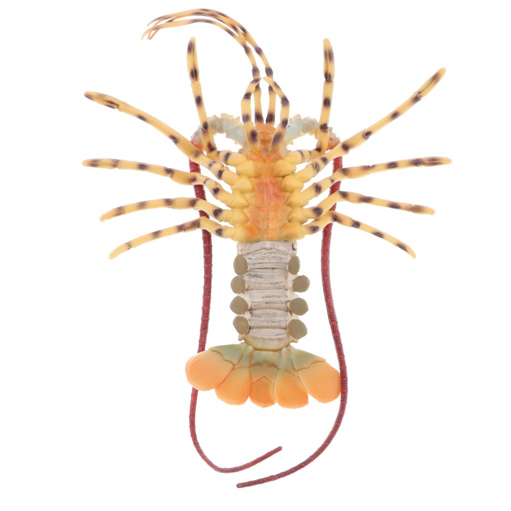 Lobster Model Ocean Animals Pl - đánh giá và giá Kids Education Desk