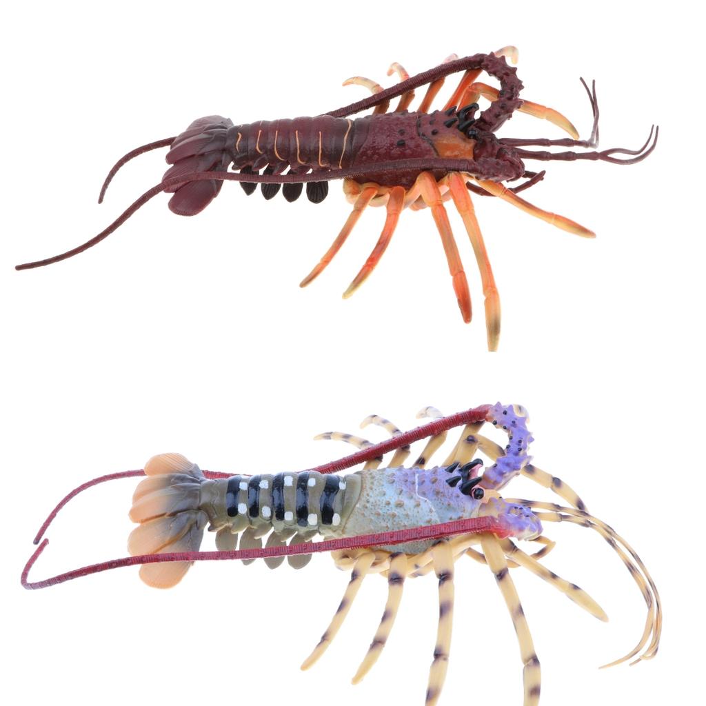 Lobster Model Ocean Animals Pl - đánh giá và giá Kids Education Desk