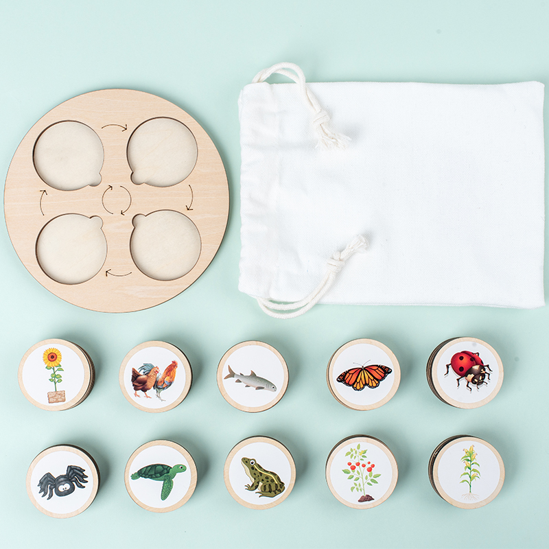 Life Cycle Board Montessori Ki - đánh giá và giá Montessori Shelf Toy
