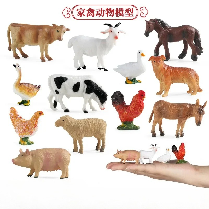 Education Teaching Tool Poultr - đánh giá và giá Kids Education Tools