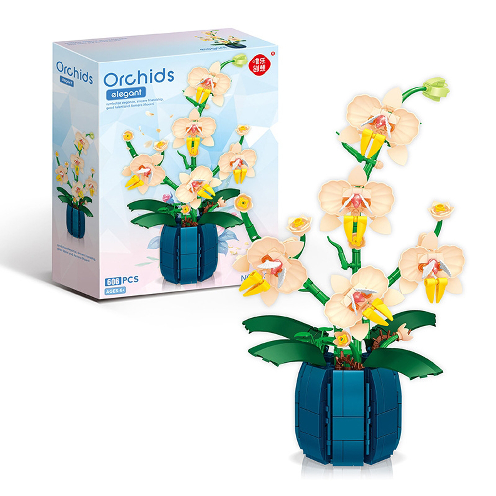 Bouquet Potted Orchid Building - đánh giá và giá Orchid Kids Education