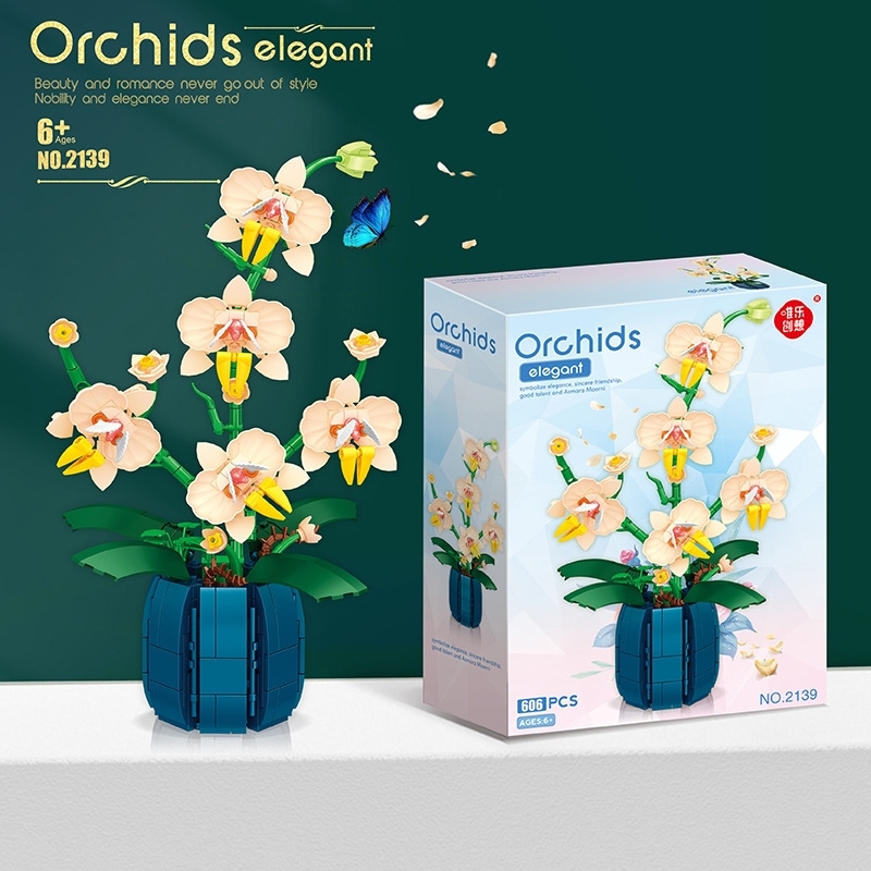 Bouquet Potted Orchid Building - đánh giá và giá Orchid Kids Education