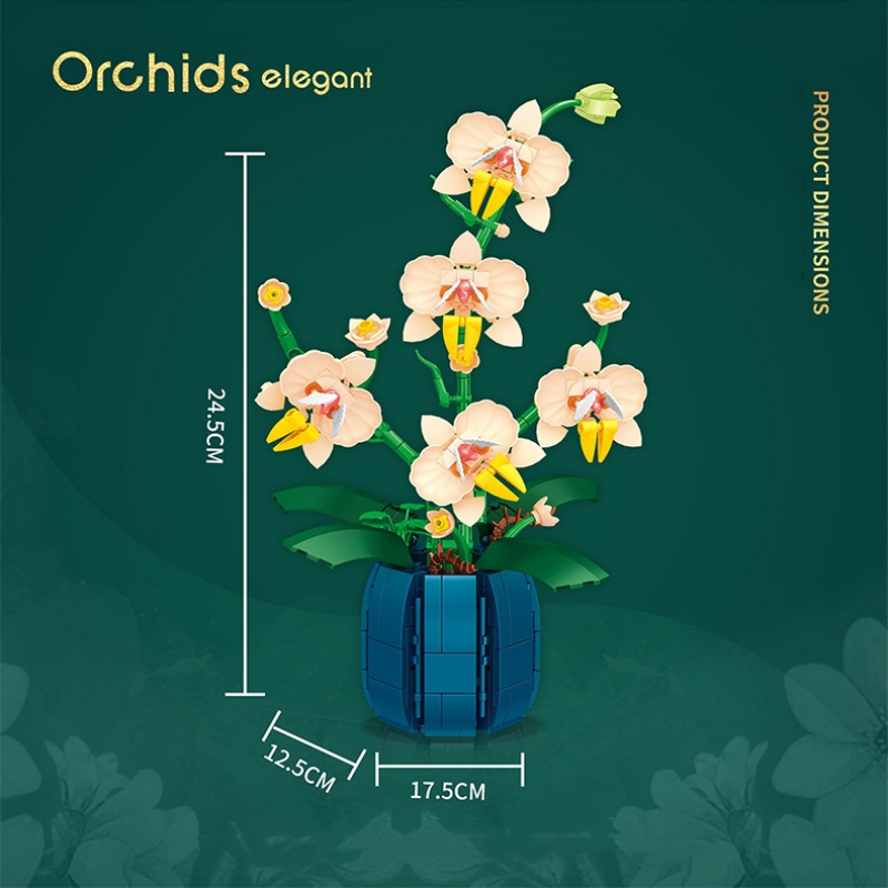 Bouquet Potted Orchid Building - đánh giá và giá Orchid Kids Education