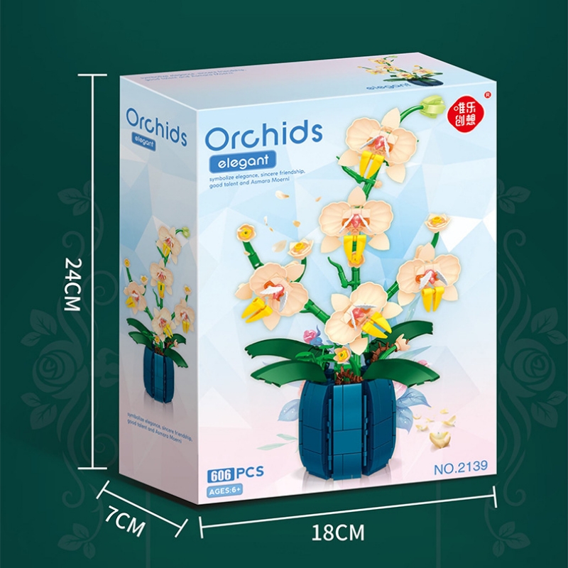 Bouquet Potted Orchid Building - đánh giá và giá Orchid Kids Education